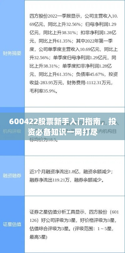 600422股票新手入門指南，投資必備知識(shí)一網(wǎng)打盡