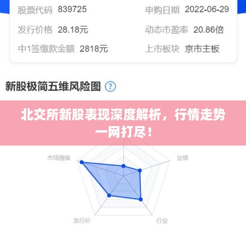 北交所新股表現(xiàn)深度解析，行情走勢(shì)一網(wǎng)打盡！