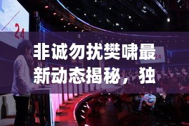 非誠勿擾樊嘯最新動態(tài)揭秘，獨家爆料吸引眼球！