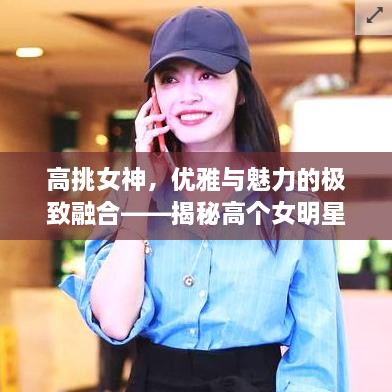 高挑女神，優(yōu)雅與魅力的極致融合——揭秘高個女明星的魅力風(fēng)采